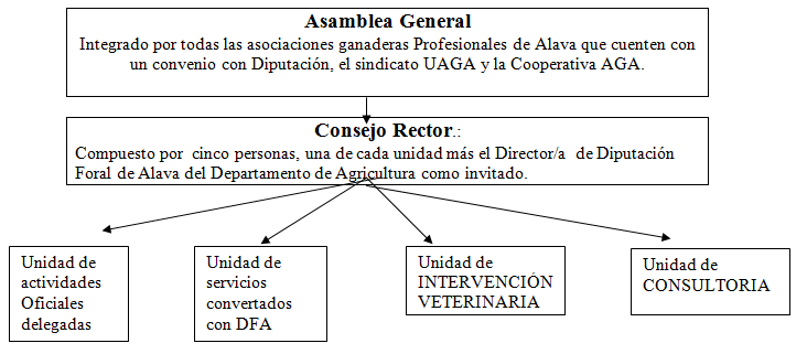Organigrama